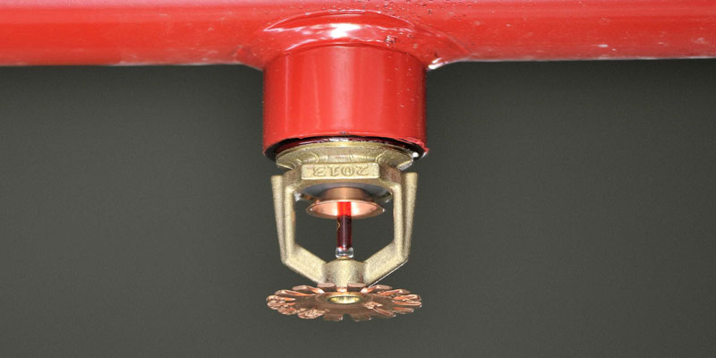 Multiethnic People with Startup Business Talking in a Cafe